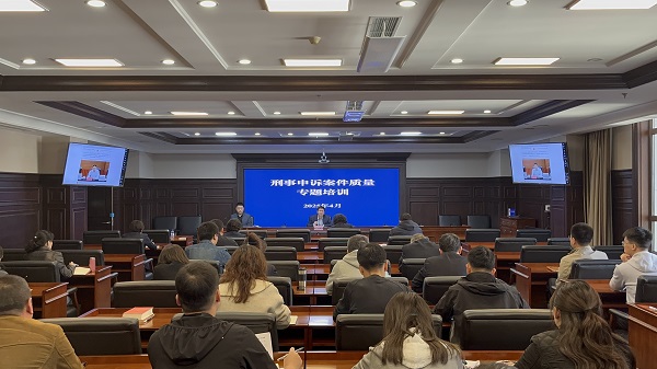 做实高质效办好每一个刑事申诉案件